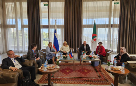 slika 1 (Slovenian and Algerian delegations in armchairs, with both flags in the background)