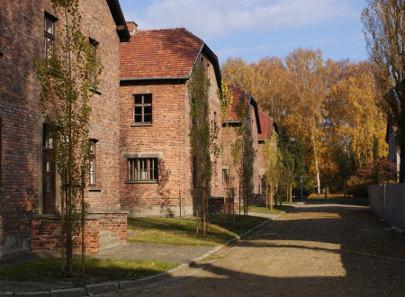 Sončno jesensko vreme. Pogled na vrsto hiše v koncentracijskem taborišču Auschwitz. Hiše so na levi strani, na desni je potka, na koncu potke so drevesa.