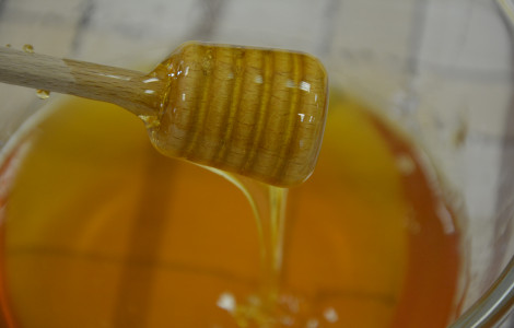 DSC 0055 (A wooden stick that captures honey from a jar.)