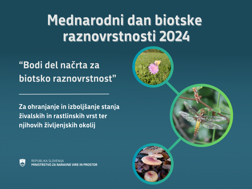 Grafični prikaz: mednarodni dan biotske raznovrstnosti 2024: Bodi del načrta za biotsko raznovrstvnost