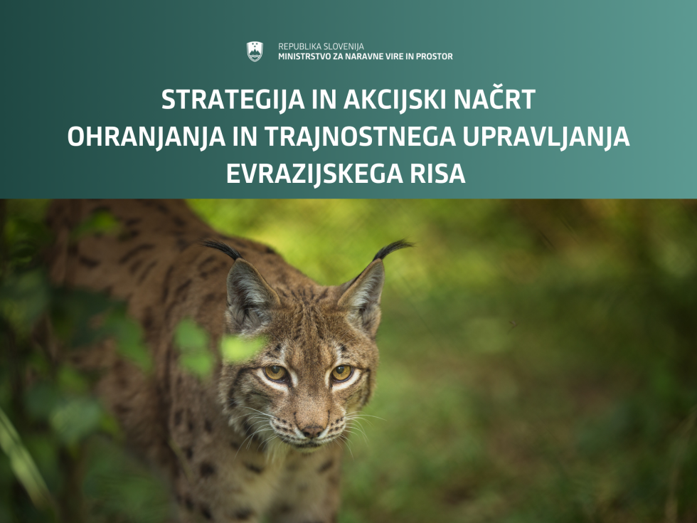 ris in napis: strategija in akcijski načrt ohranjanja in trajnostnega upravljanja evrazijskega risa