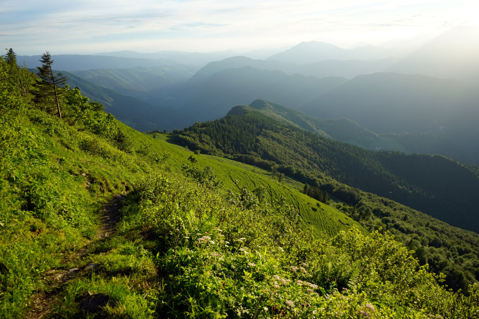 Hribovje Porezen v bujni zeleni barvi, v ozadju meglice