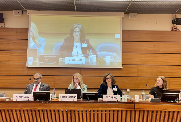 Slovenia convenes high-level event at the Human Rights Council on advancing equality through multilateralism