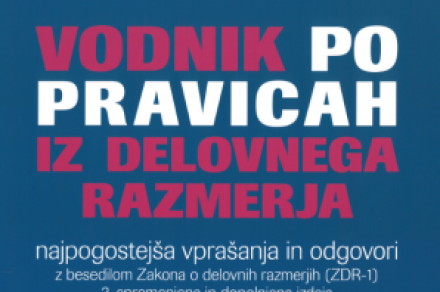 Vodnik po pravicah iz delovnega razmerja