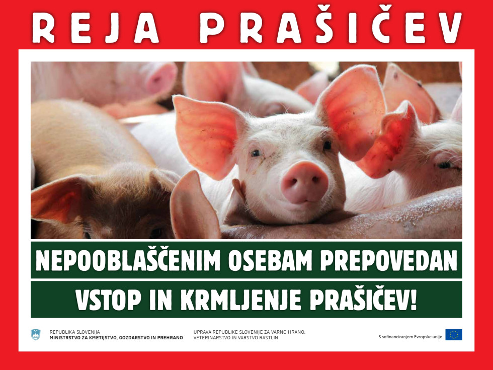 Plakat na katerem so prašiči in z napisom reja prašičev - nepooblaščenih osebam prepovedan vstop in krmljenje prašičev.