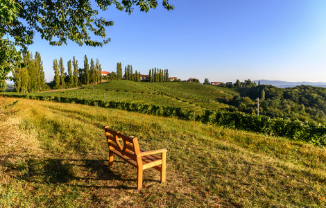 svetovni dan turizma (Decorative photography. View of a landscape with vineyards, with a love bench in the foreground.)