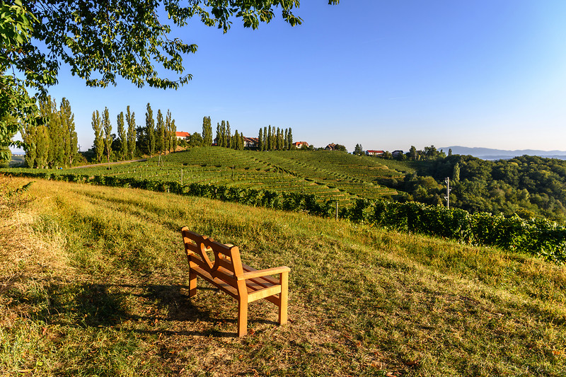 Decorative photography. View of a landscape with vineyards, with a love bench in the foreground.